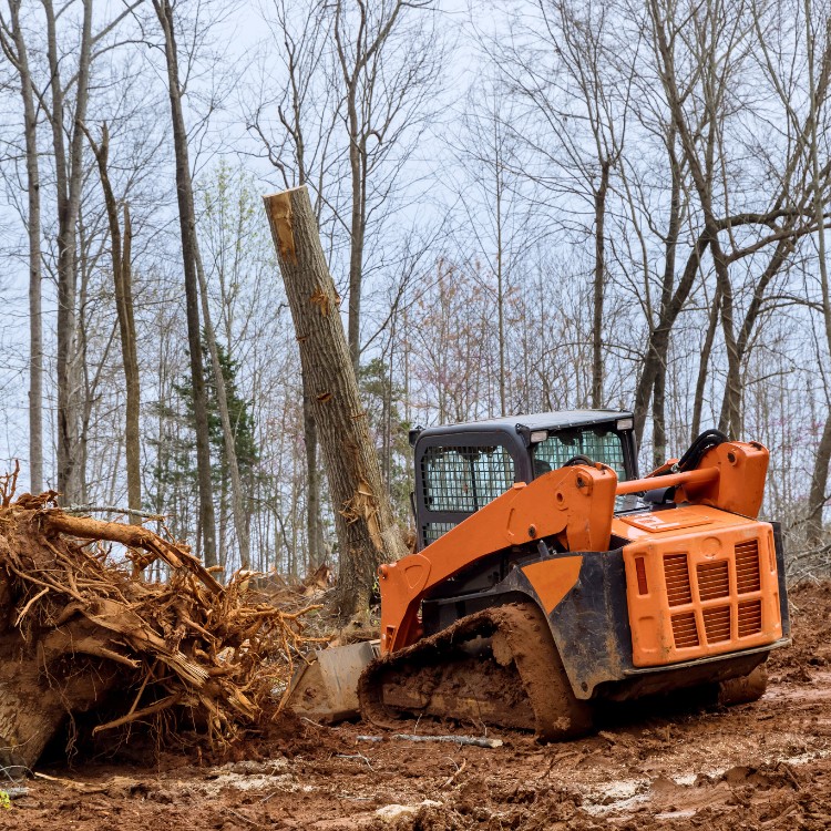 Demolition services in Bolingbrook, IL